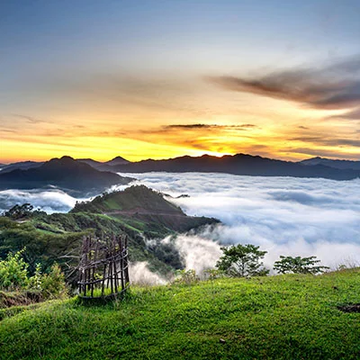 深圳宠物医院加盟连锁（宠物医院 深圳）